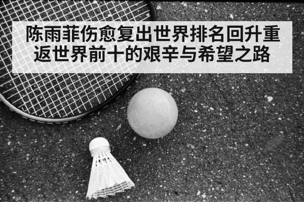 陈雨菲伤愈复出世界排名回升重返世界前十的艰辛与希望之路